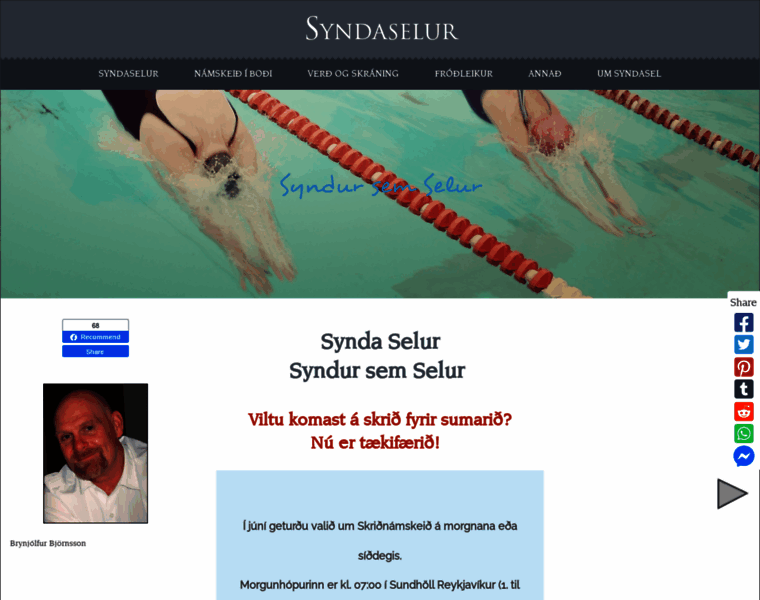 Syndaselur.com thumbnail
