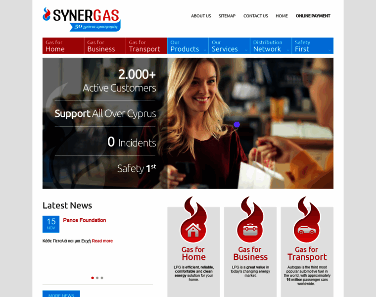 Synergas.com.cy thumbnail