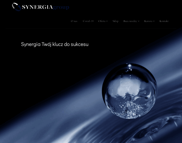 Synergiagroup.eu thumbnail