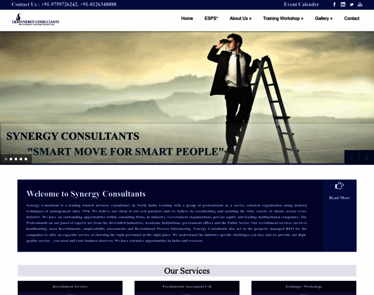 Synergyconsultant.in thumbnail