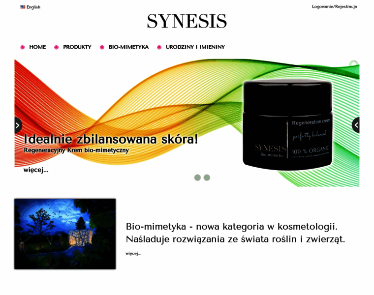 Synesis.pl thumbnail
