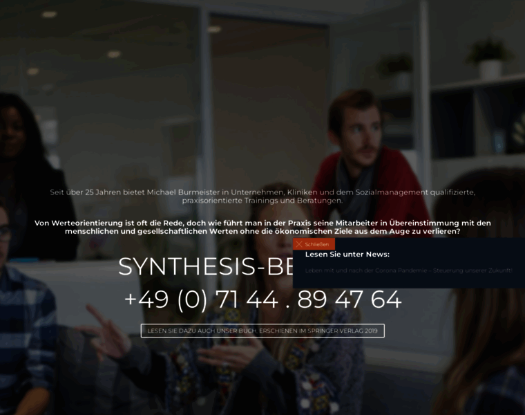 Synthesis-beratung.de thumbnail