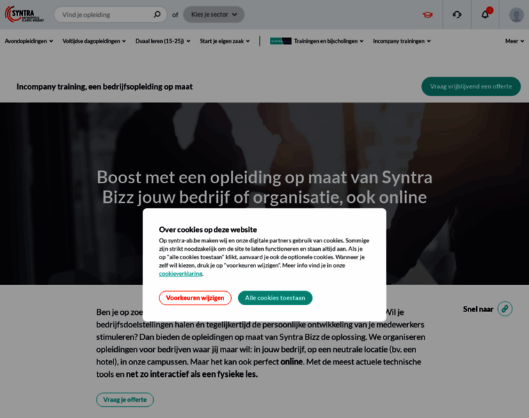 Syntra-bizz.be thumbnail