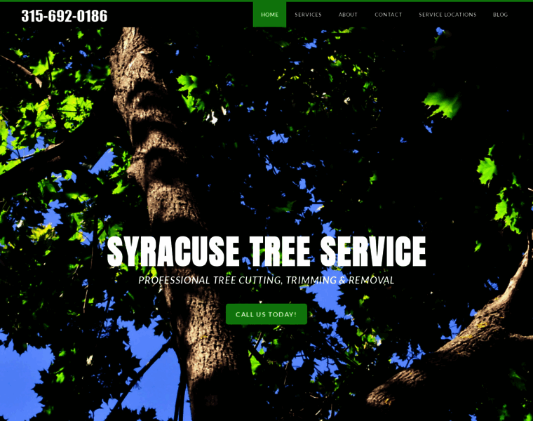 Syracusetreecare.com thumbnail