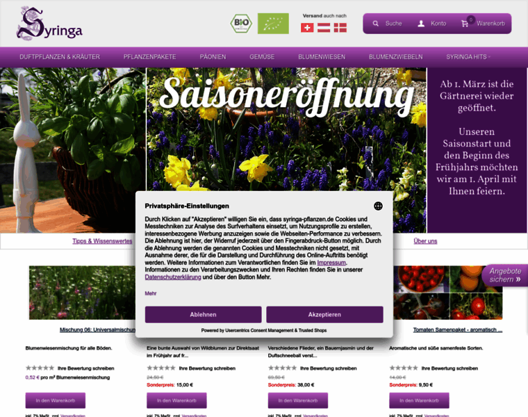 Syringa-pflanzen.de thumbnail