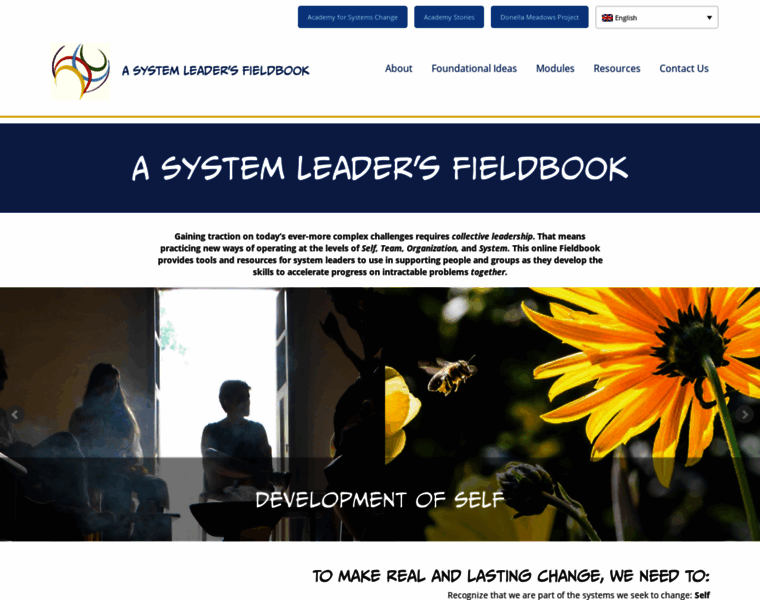 Systemsfieldbook.org thumbnail