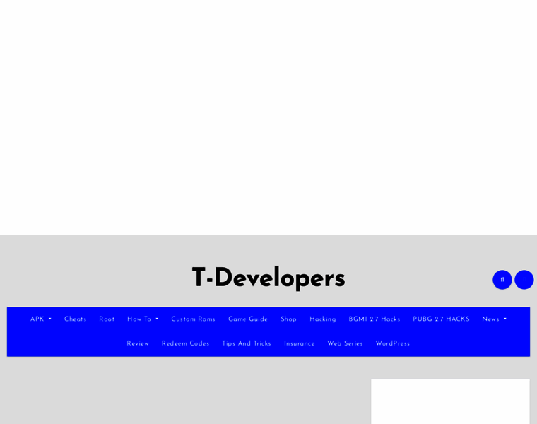T-developers.com thumbnail