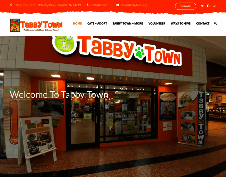 Tabbytown.org thumbnail