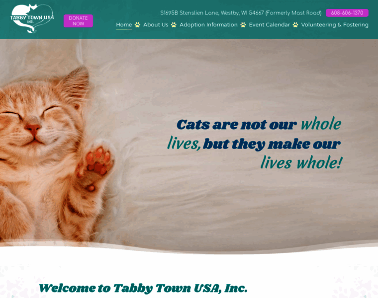 Tabbytownusa.org thumbnail