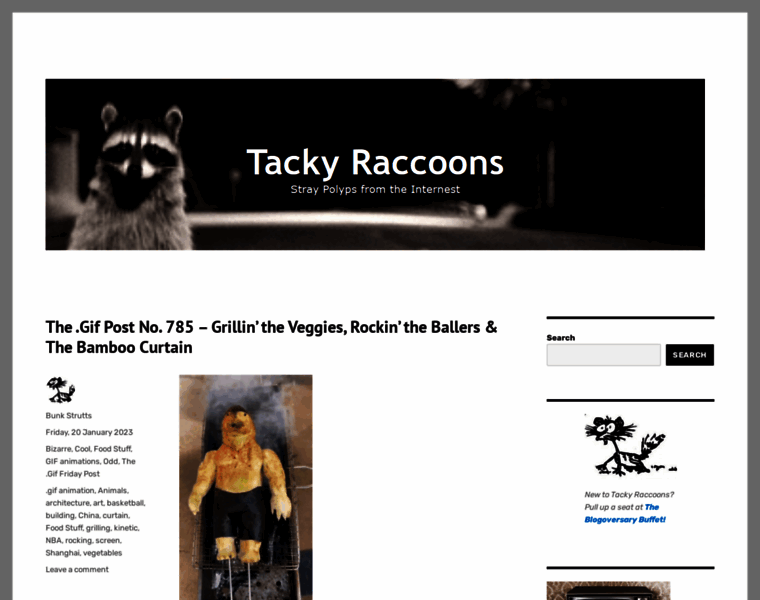 Tackyraccoons.com thumbnail