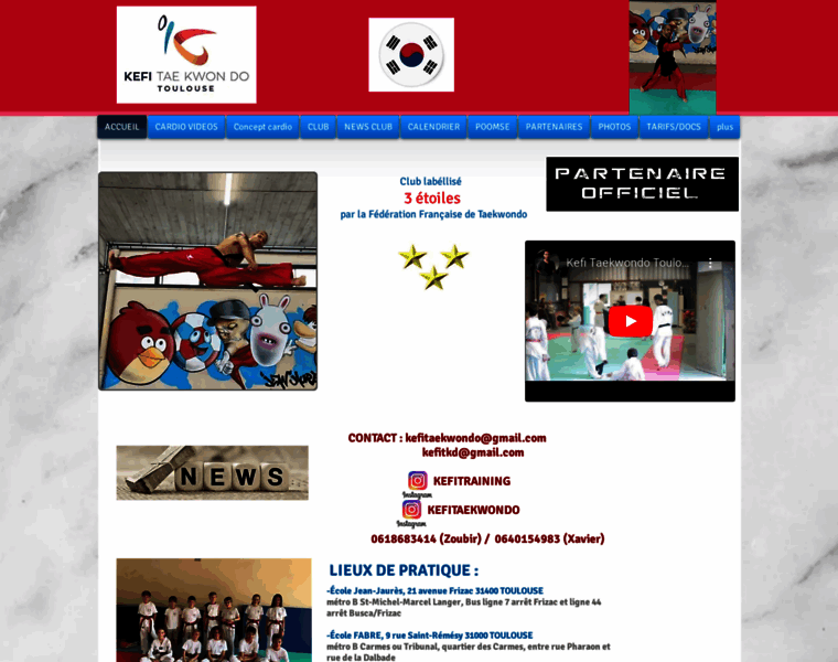 Taekwondo-toulouse.com thumbnail