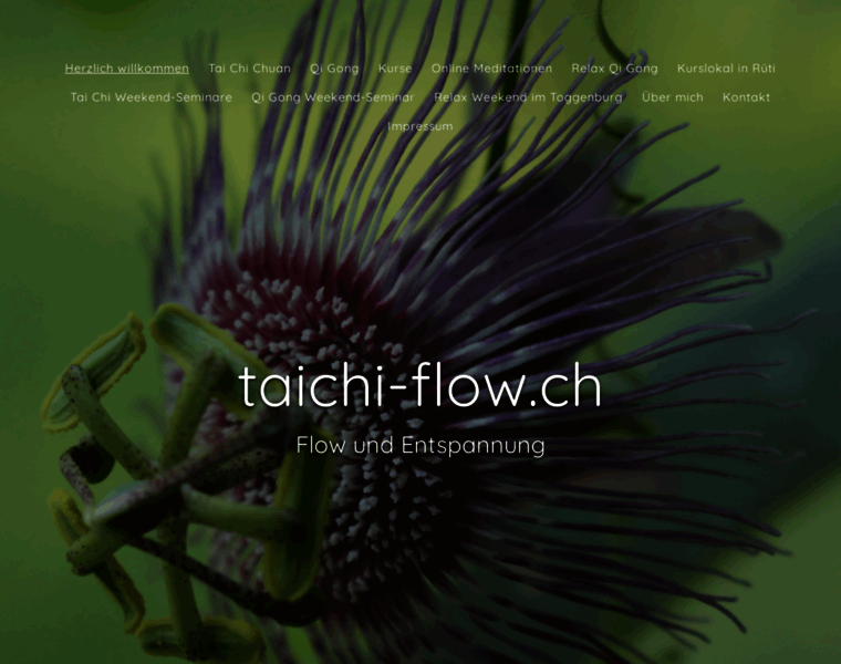 Taichi-flow.ch thumbnail