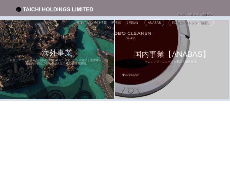 Taichi-holdings.com thumbnail