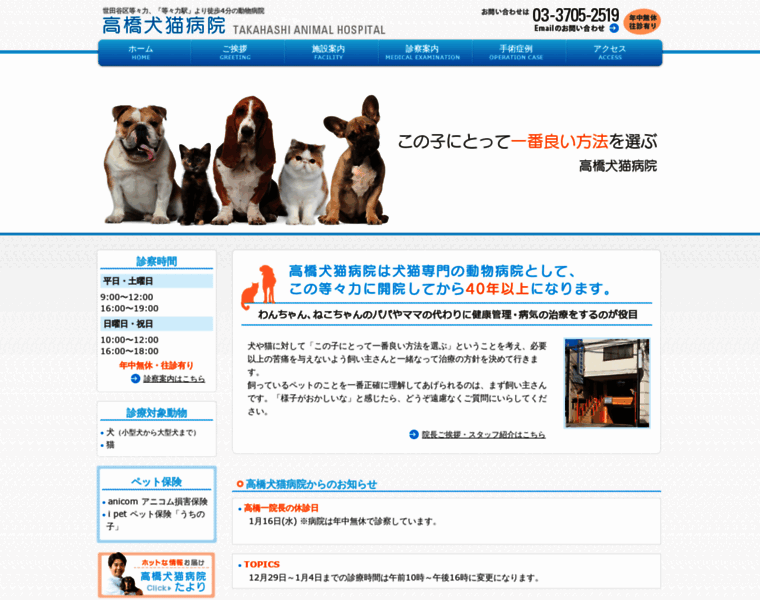 Takahashi-dogcat.com thumbnail