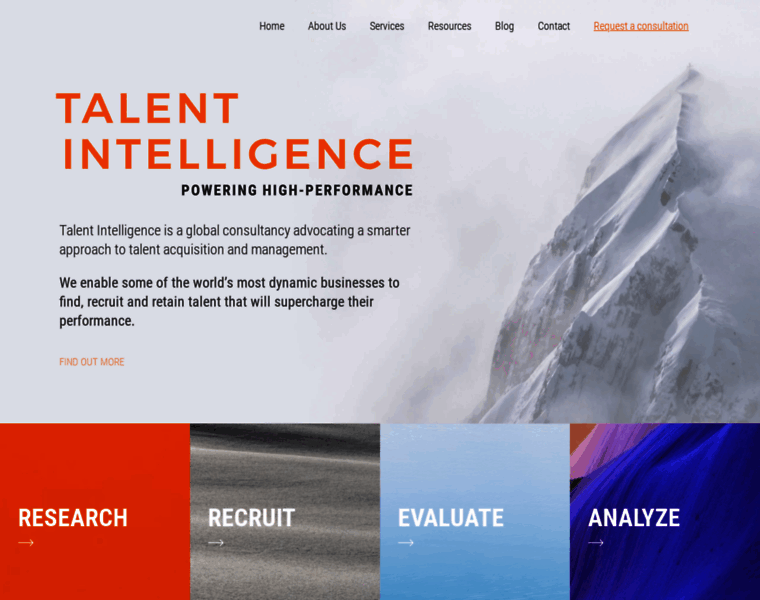 Talentintelligence.com thumbnail