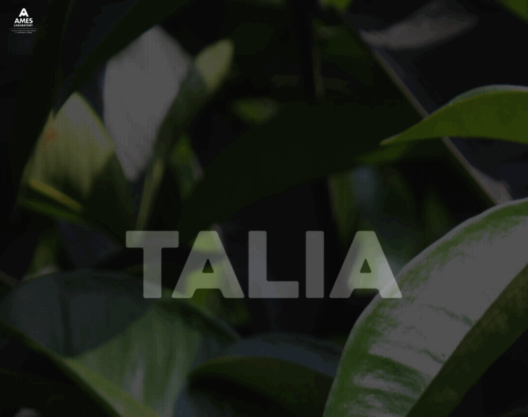 Talia.pro thumbnail