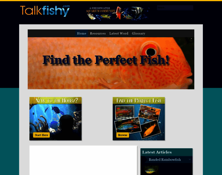 Talkfishy.com thumbnail