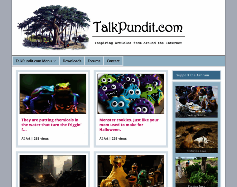 Talkpundit.com thumbnail