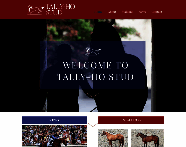 Tallyhostud.com thumbnail