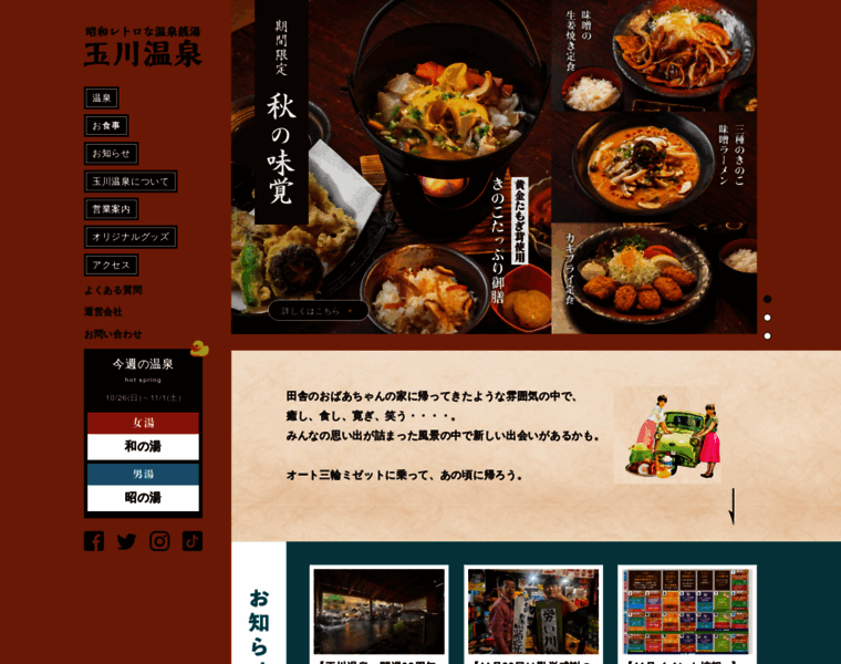 Tamagawa-onsen.com thumbnail