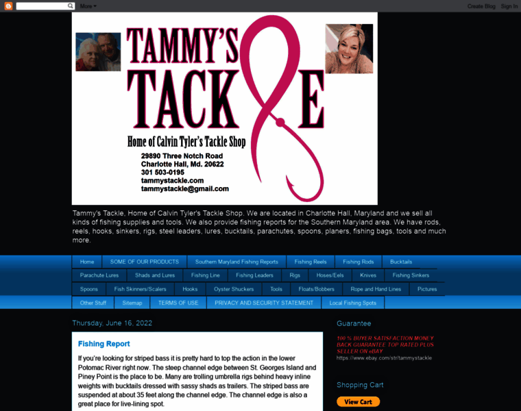 Tammystackle.com thumbnail