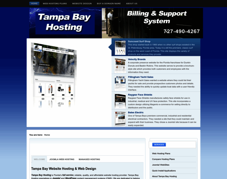 Tampabayhosting.net thumbnail