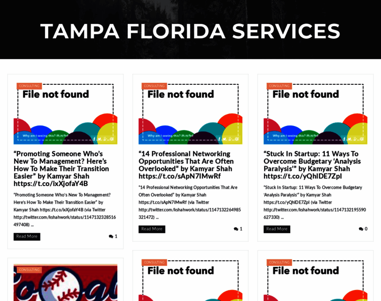 Tampaflorida.services thumbnail