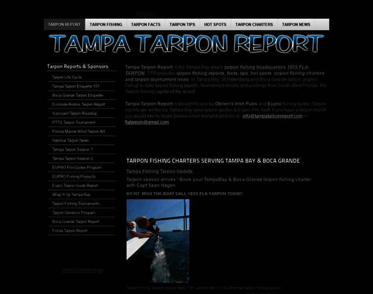 Tampatarponreport.com thumbnail
