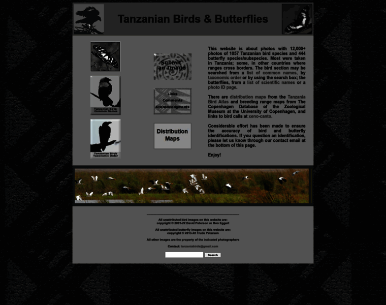 Tanzaniabirds.net thumbnail