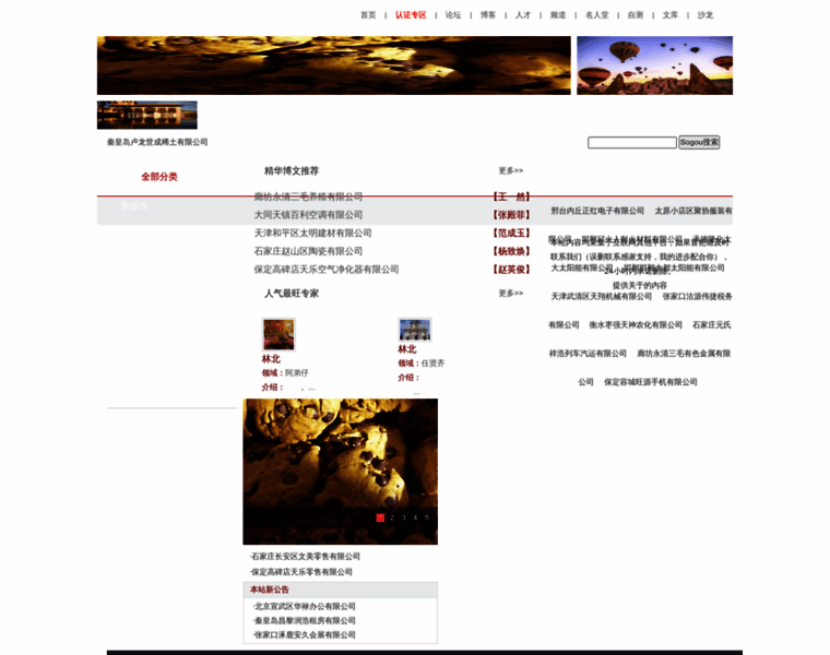 Tao-inc.com thumbnail