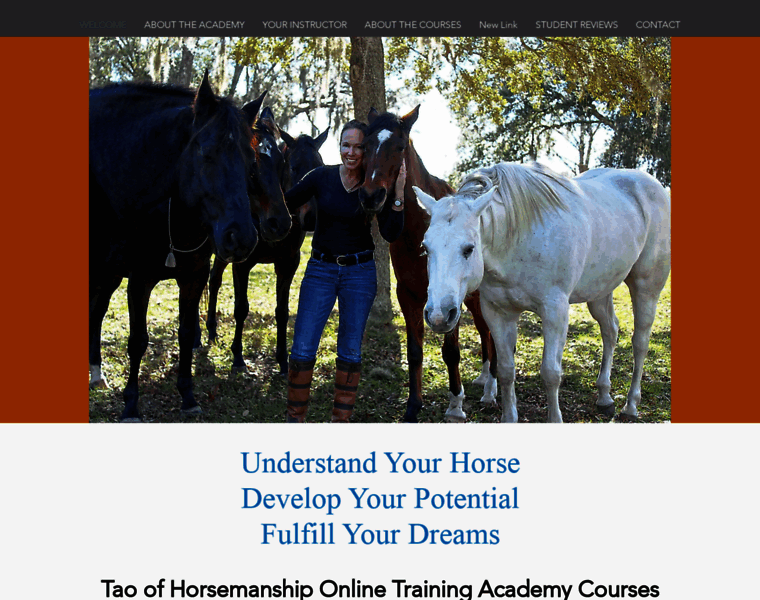 Taoacademy-horse-training-courses.com thumbnail