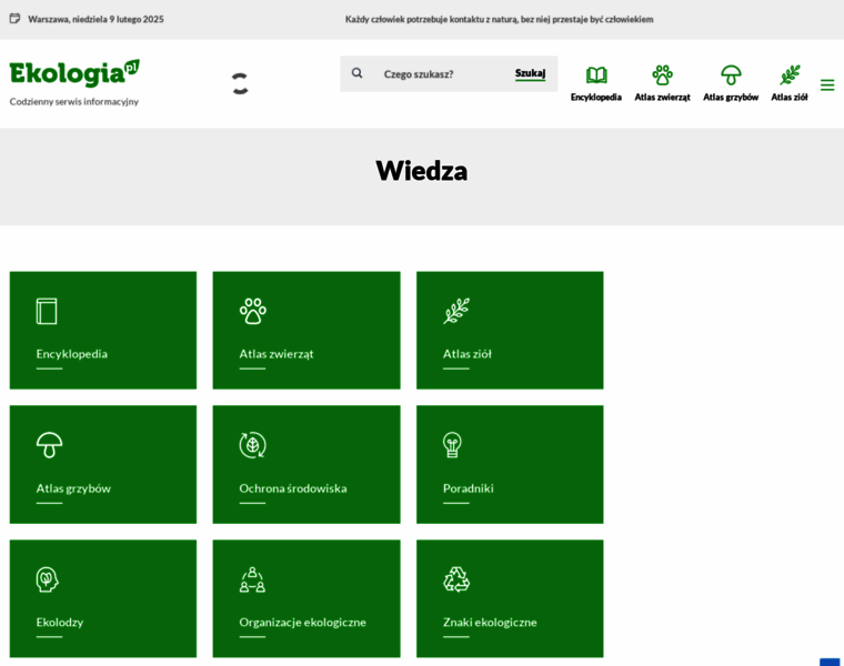 Tapeta.pl thumbnail
