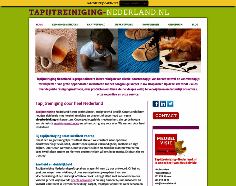 Tapijtreiniging-nederland.nl thumbnail
