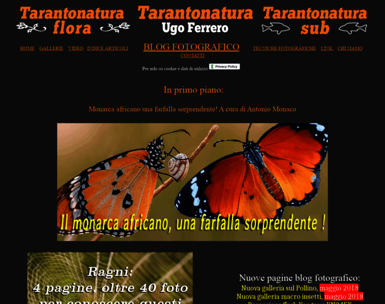Tarantonatura.it thumbnail