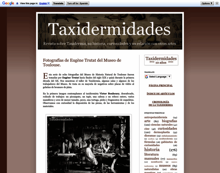 Taxidermidades.com thumbnail