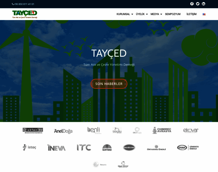 Tayced.org thumbnail
