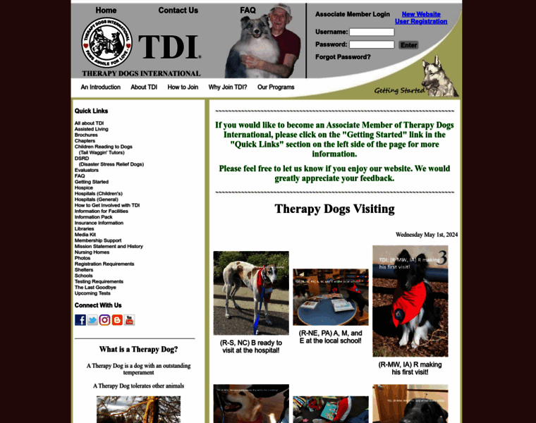Tdi-dog.org thumbnail