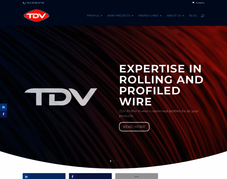 Tdv-profile.com thumbnail