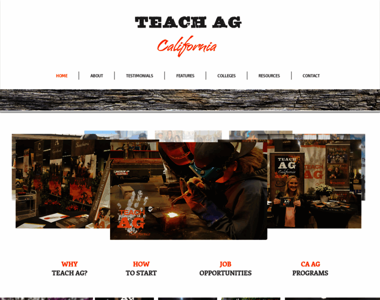 Teachag.org thumbnail