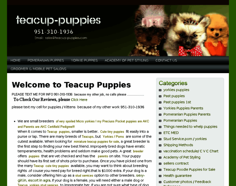 Teacup-puppies.com thumbnail