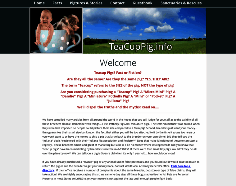 Teacuppig.info thumbnail