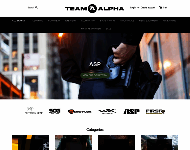 Team-alpha.ie thumbnail