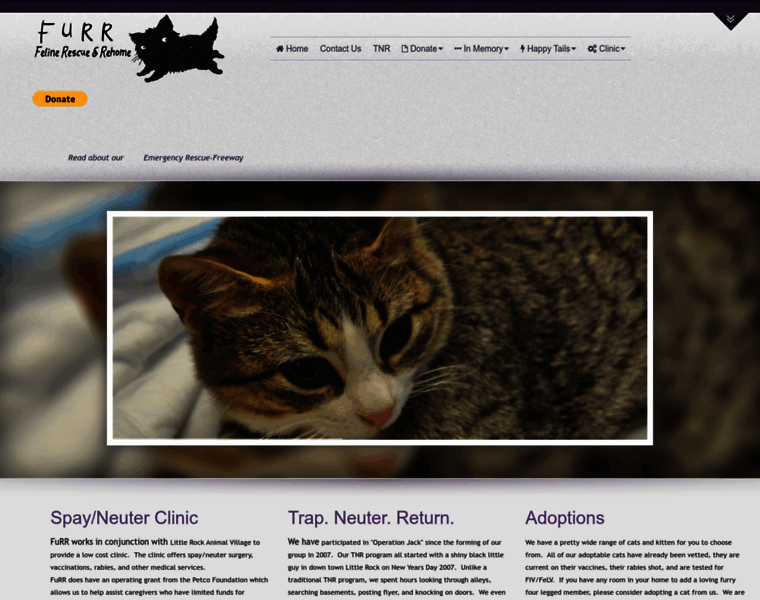 Teamfurr.org thumbnail Teamfurr.org thumbnail