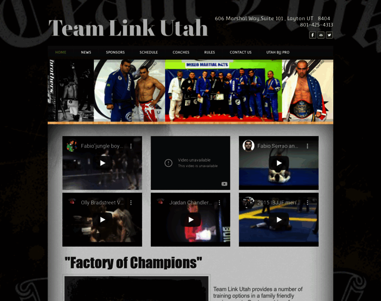 Teamlinkutahbjj.com thumbnail