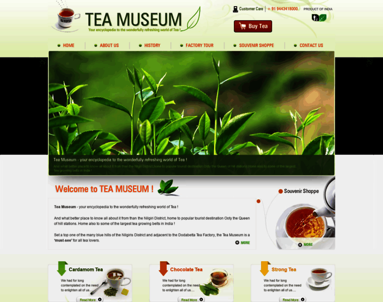 Teamuseumindia.com thumbnail