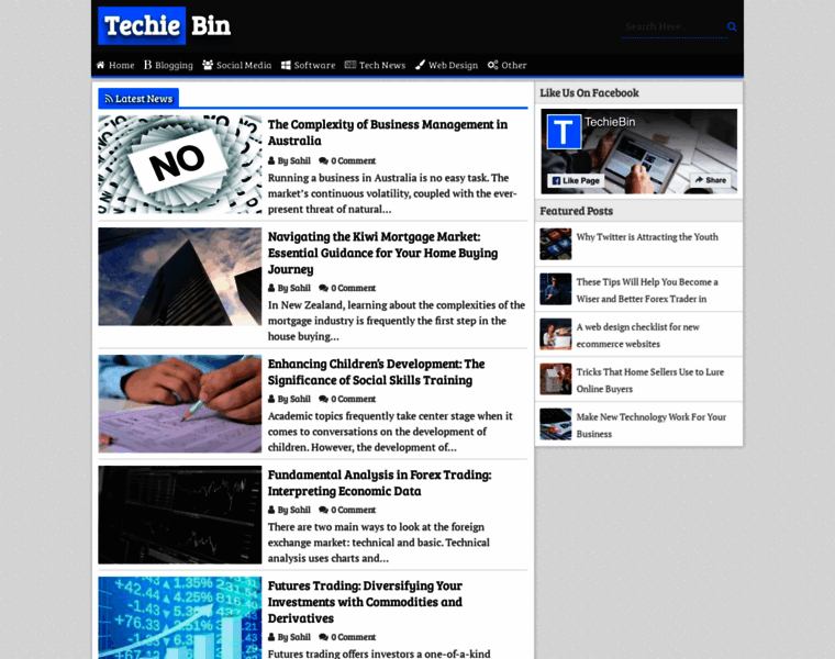 Techiebin.com thumbnail