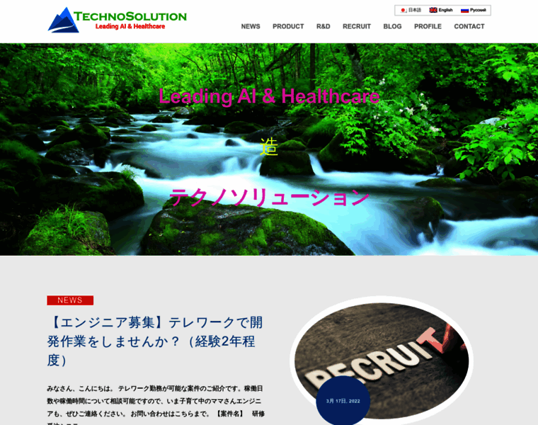 Technosolution.co.jp thumbnail