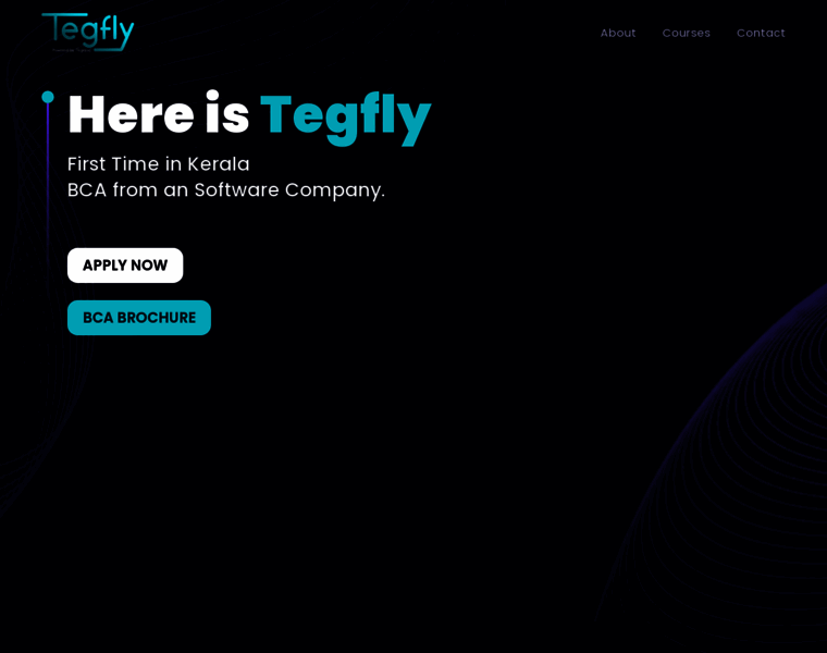 Tegfly.in thumbnail