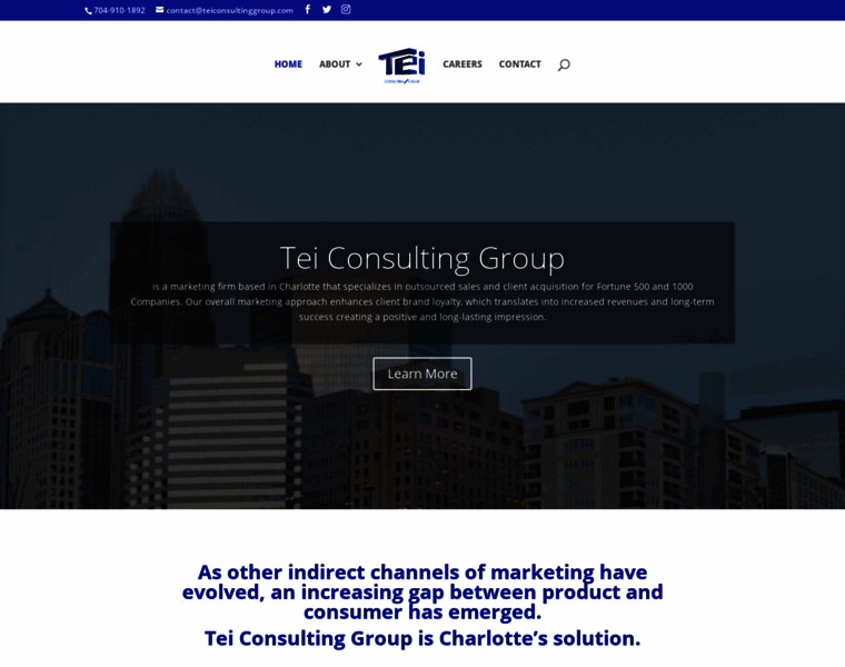 Teiconsultinggroup.com thumbnail