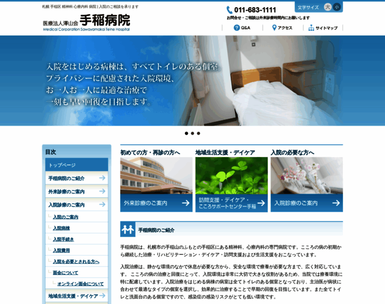 Teinekokoro-hospital.jp thumbnail